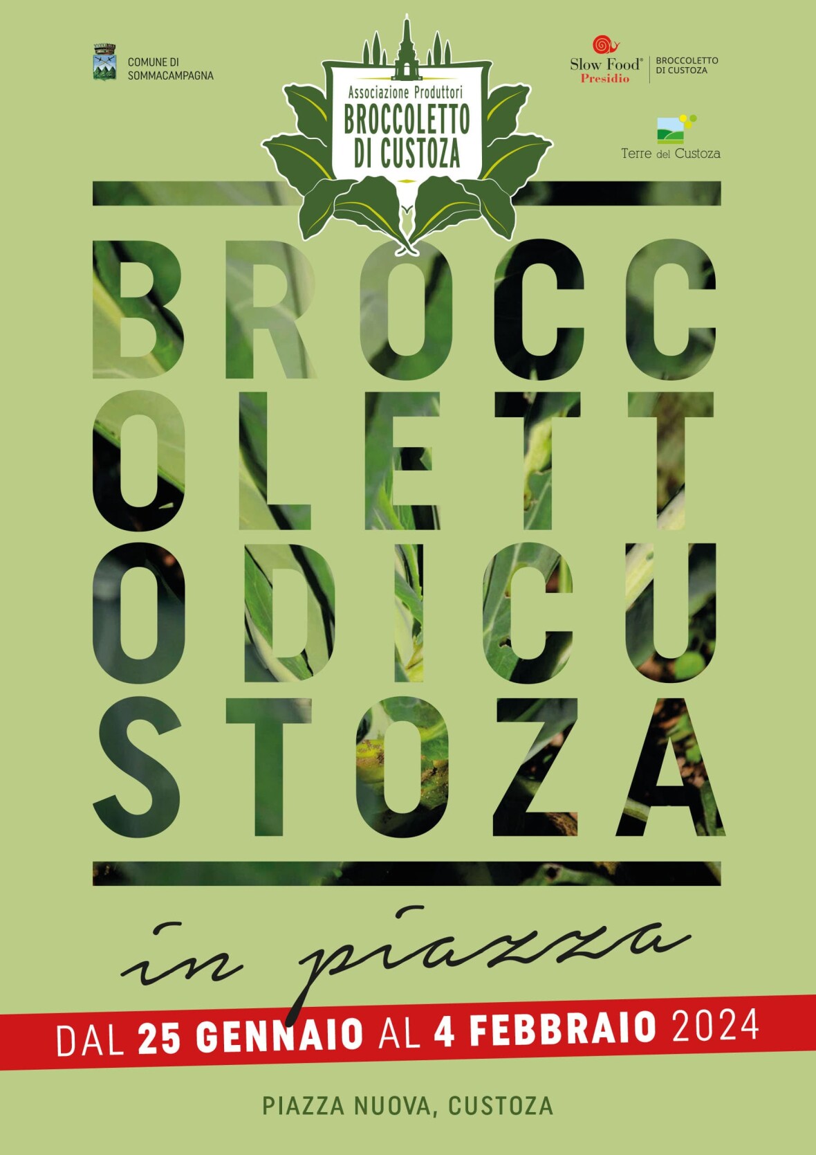 Broccoletto 2024 cover